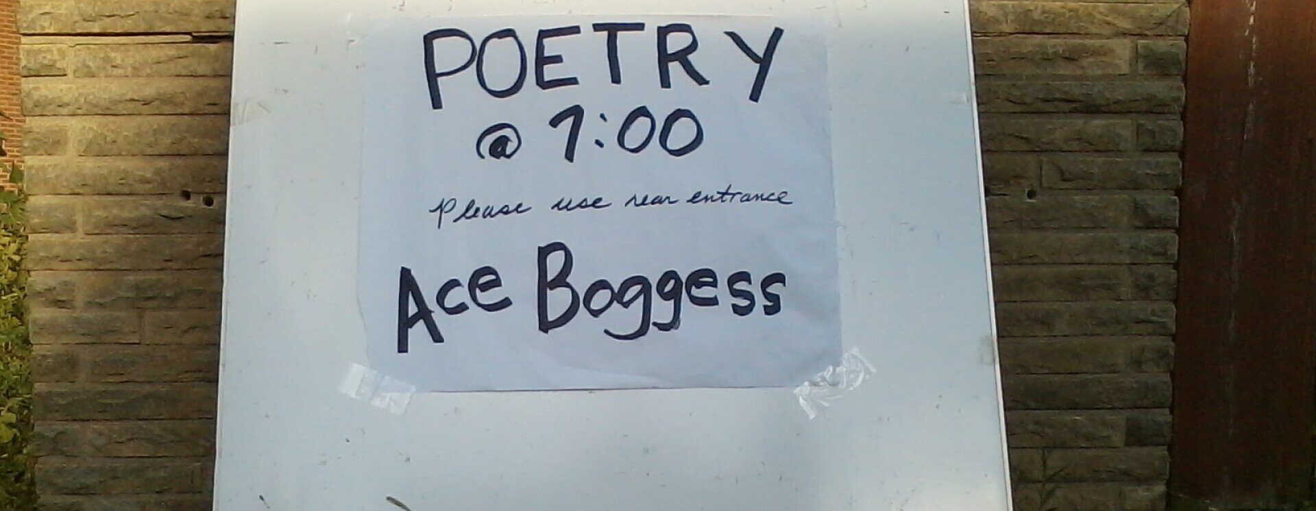Ace Boggess cover image
