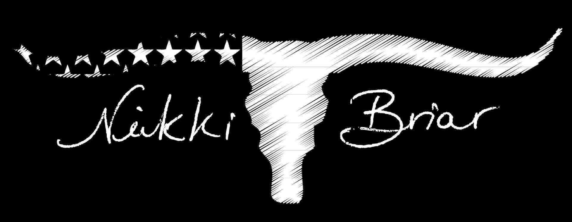 Nikki Briar cover image