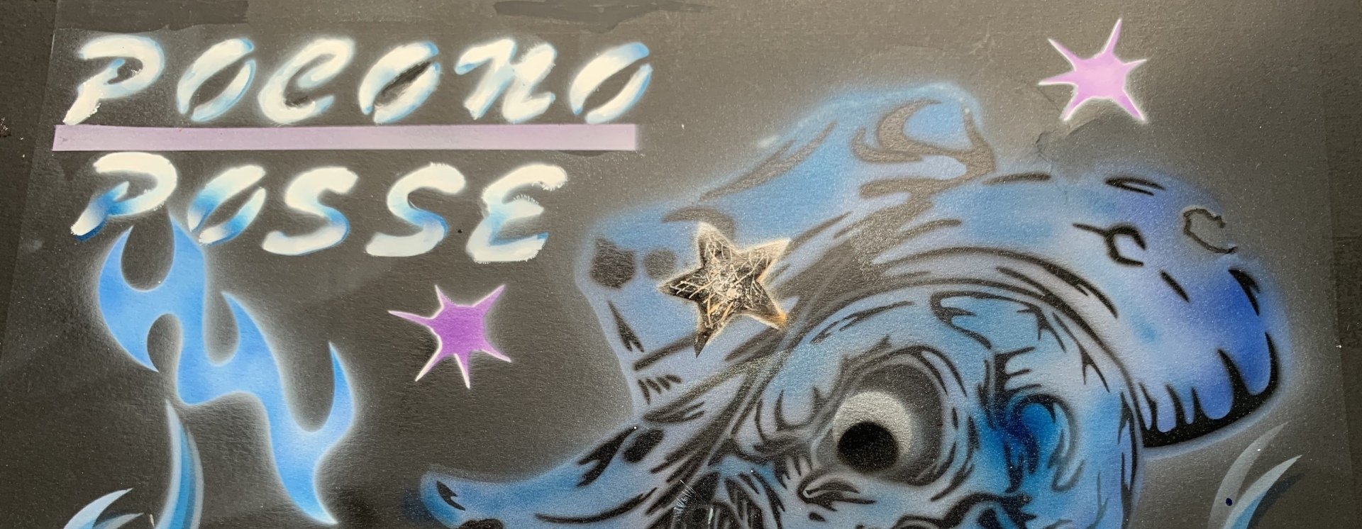 Pocono Posse cover image