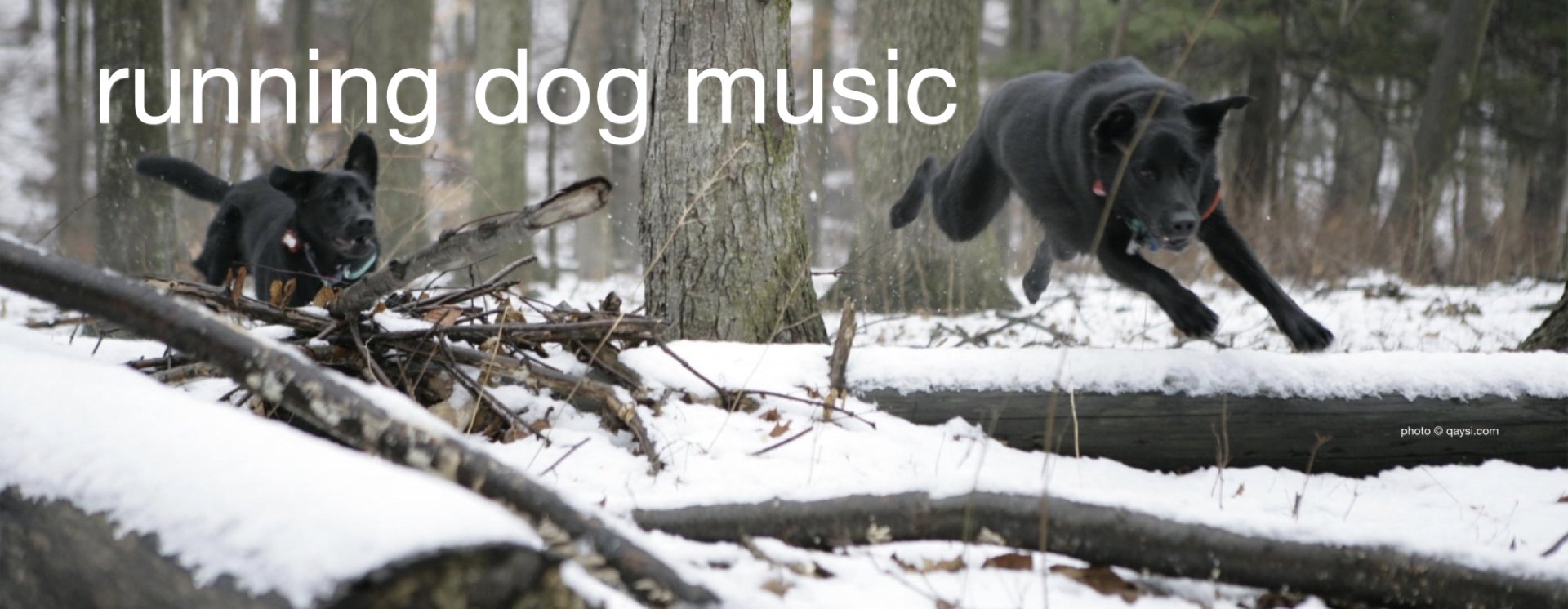 running dog music cover image