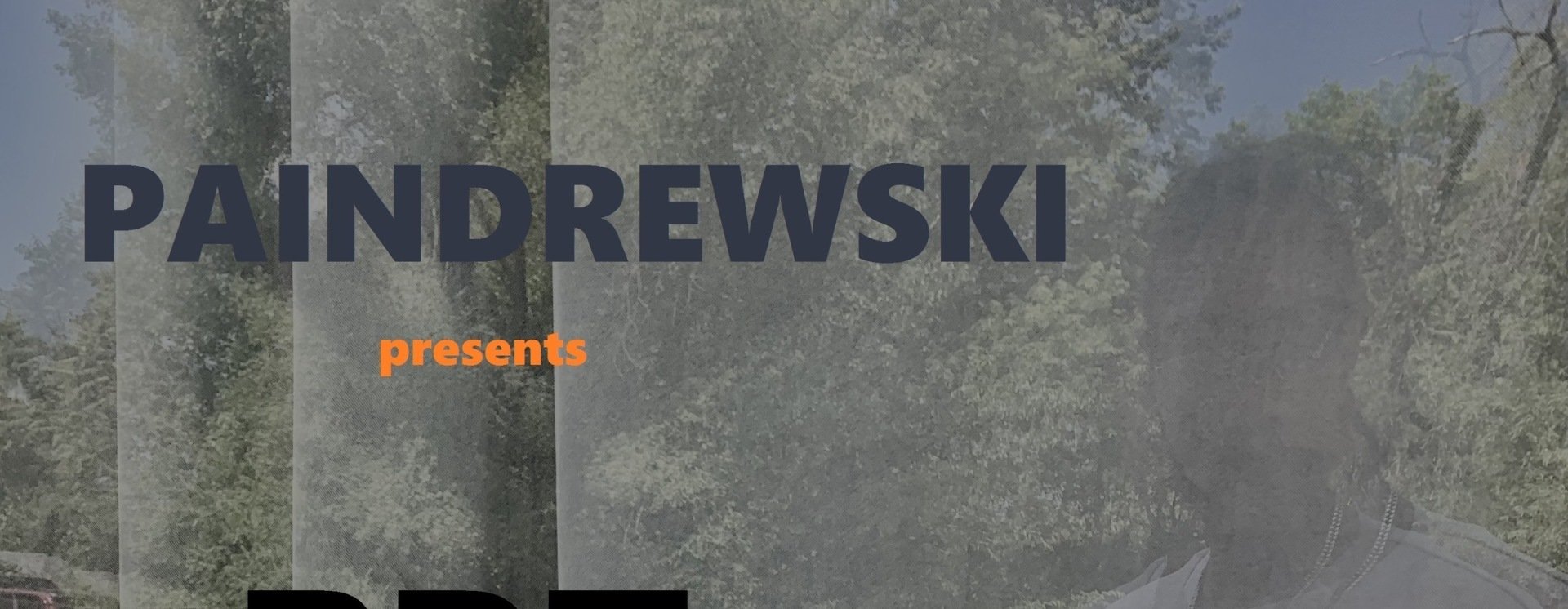PDT PAINDREWSKI cover image