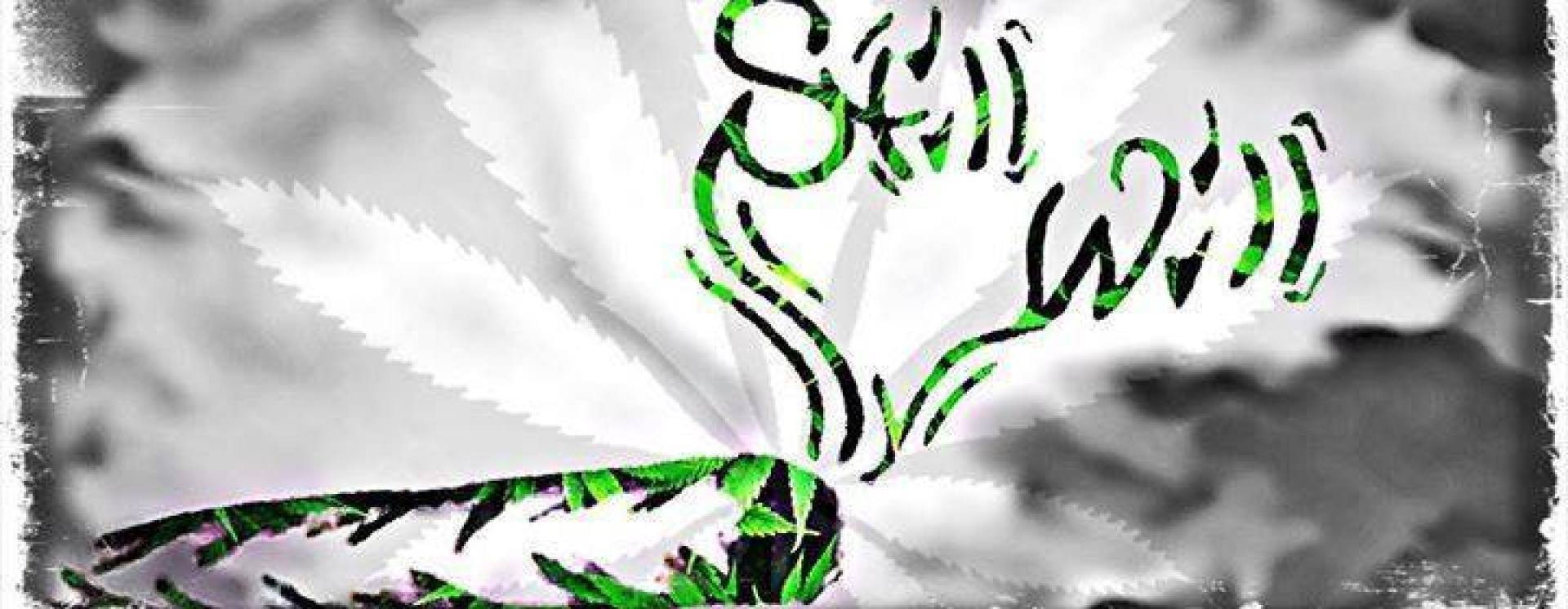 Still-Will cover image
