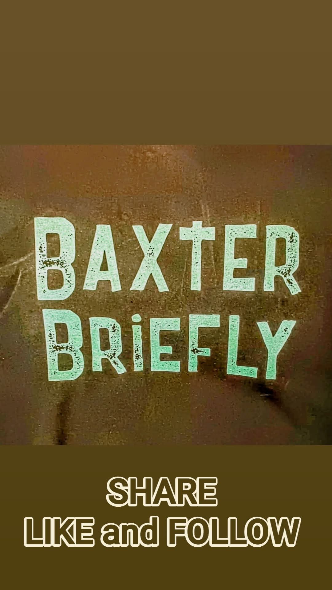 Baxter Briefly cover image