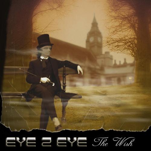 The Wish cover