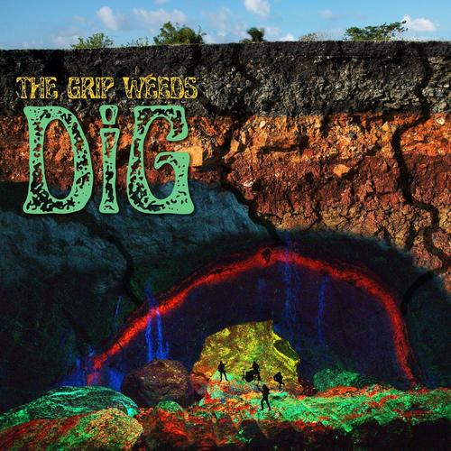 DiG cover