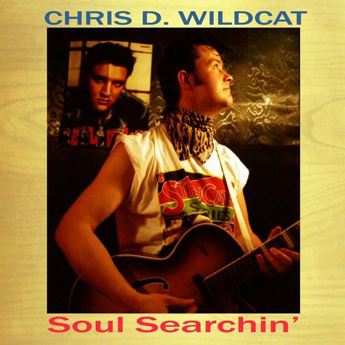 Soul Searchin' (25th Anniversary Edition) cover