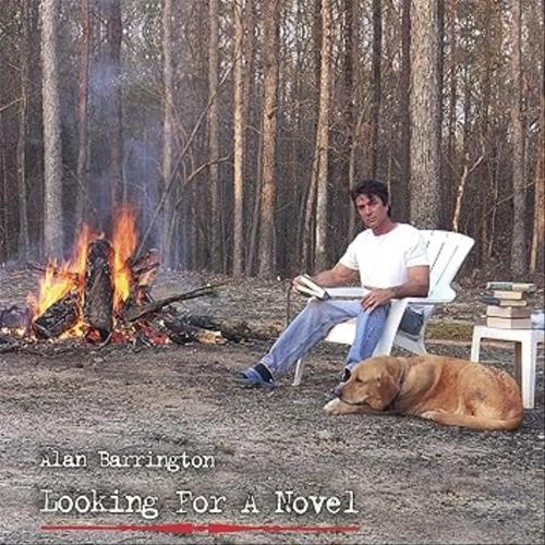 Looking For A Novel cover
