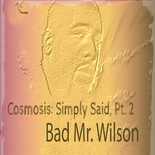 Cosmosis: Simply Said, Pt. 2 cover