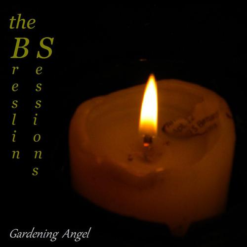 the Breslin Sessions cover