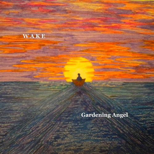 WAKE cover