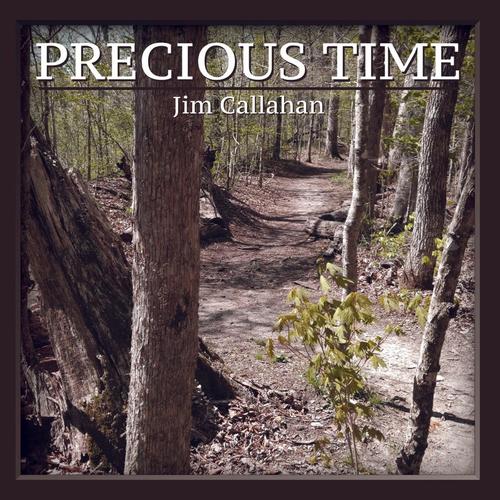 Precious Time cover