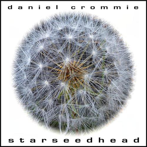 starseedhead cover