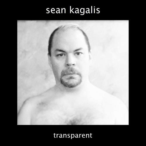 Transparent cover