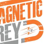 The Magnetic Grey