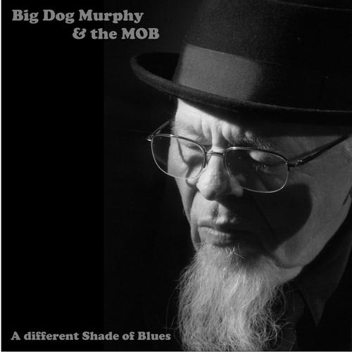 A Different Shade of Blues cover