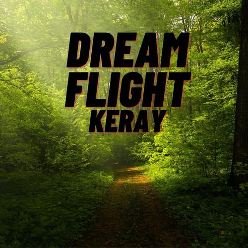 Dream flight cover