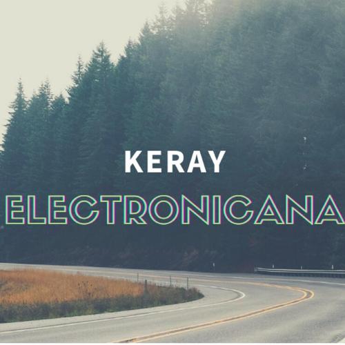 Electronicana cover