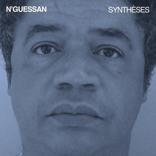 SYNTHESES cover