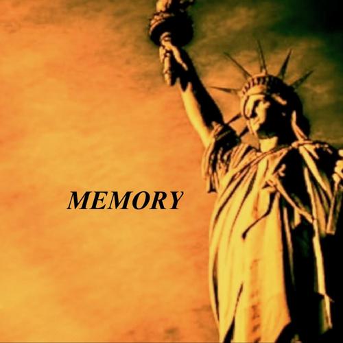 Memory cover