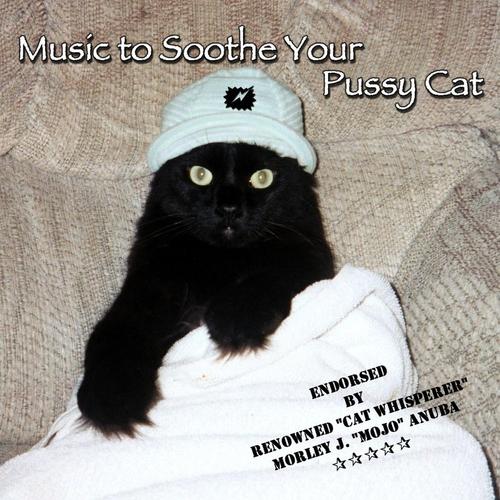 Music to Soothe Your Pussy Cat - Mind Movie cover