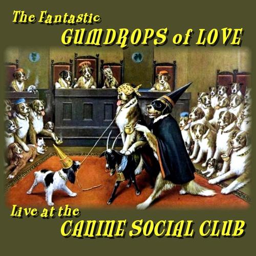 Live at the Canine Social Club - Fantastic Gumdrops of Love cover