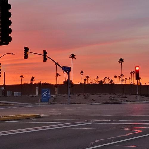 the future cover