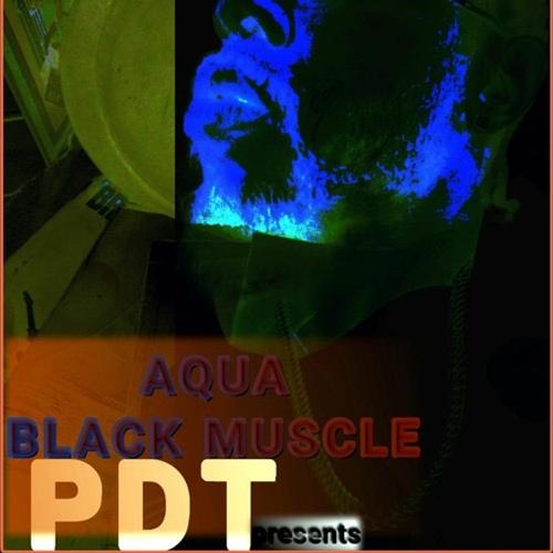 ABM BLack Muscle cover