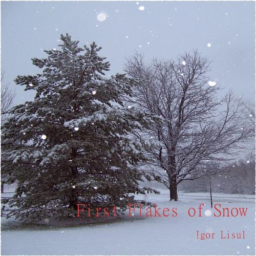 First Flakes of Snow cover