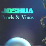 Joshua