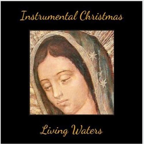 Instrumental Christmas cover