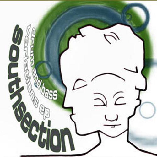 DRUM AND BASS VARIATIONS cover
