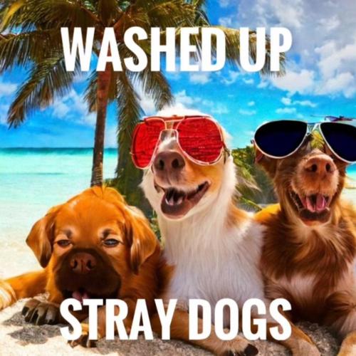 Washed Up cover