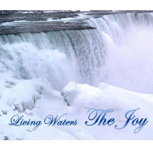 The Joy cover