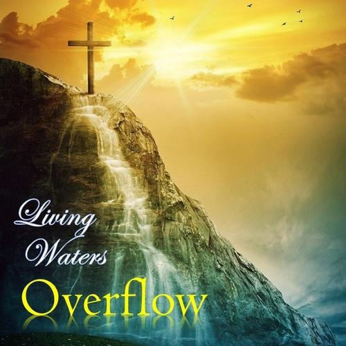 Overflow cover