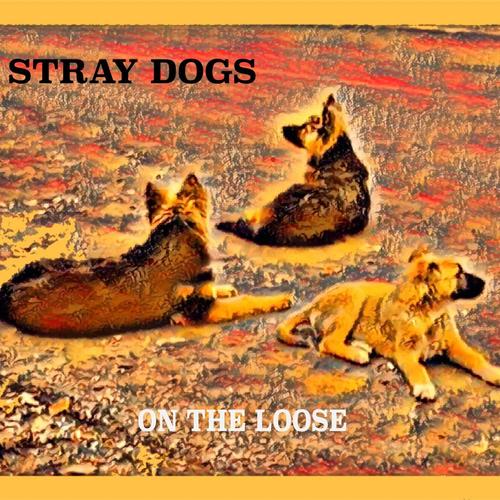 Stray Dogs cover
