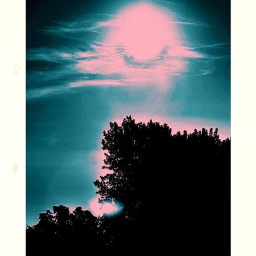 EXOTIC PHENOMENA IN DIMENSION 4 cover