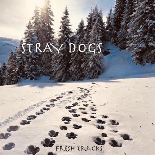 Fresh Tracks cover