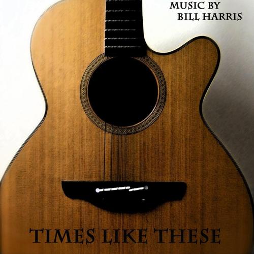 Times Like These cover