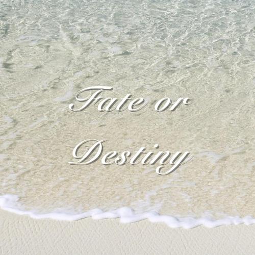 Fate or Destiny cover