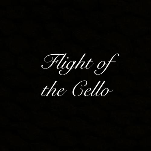Flight of the Cello cover