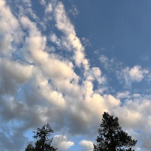 Falling Days cover
