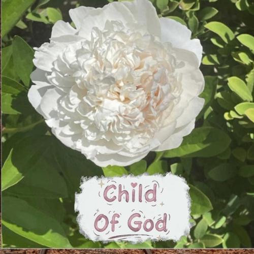 Child Of God cover
