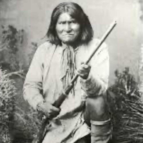 Greetings from Radio Free Arizona cover