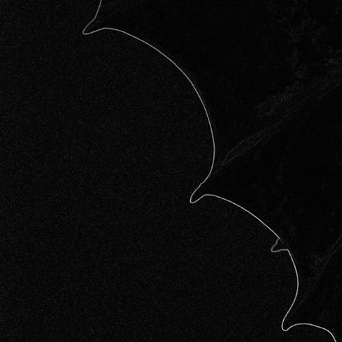 h cover