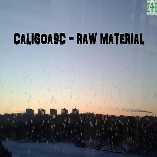 Raw Material [DOUBLE ALBUM, 2020] cover