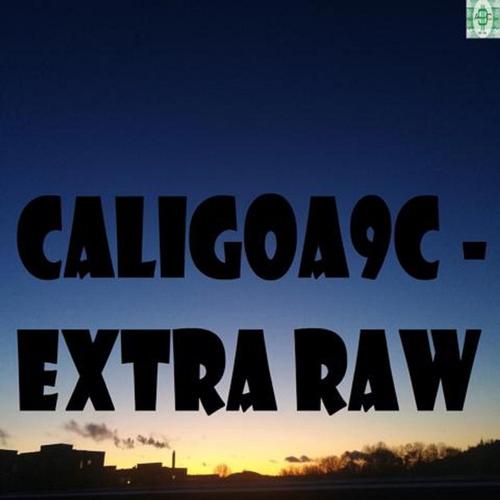 Extra Raw [ALBUM, 2020] cover