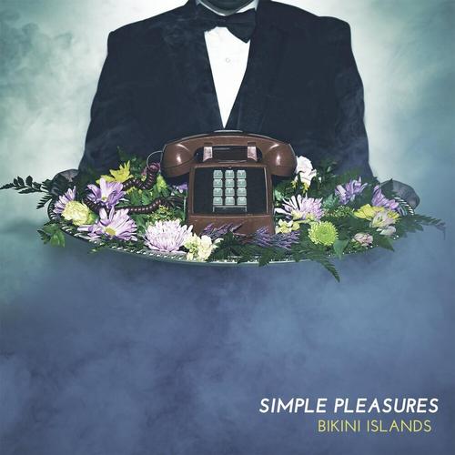 Simple Pleasures cover