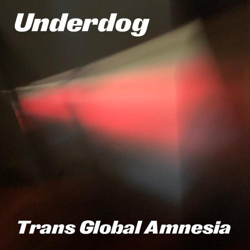 Trans Global Amnesia cover