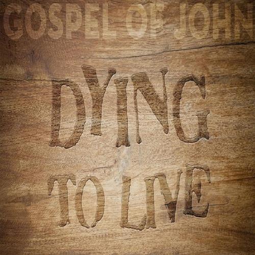 Dying To LIVE cover