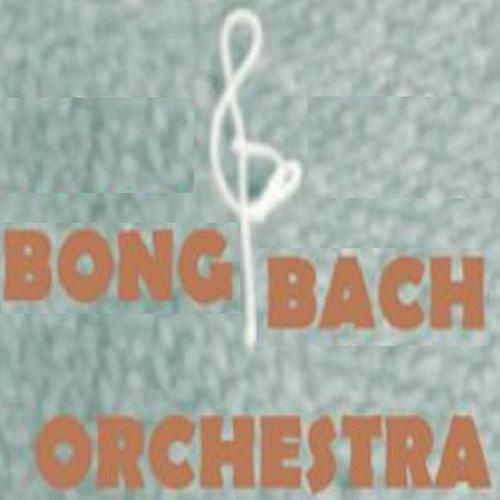 Bong & Bach Orchestra cover